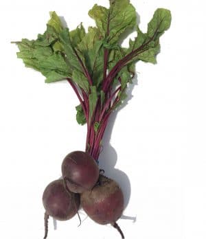 A bunch of beetroot with fresh green leaves