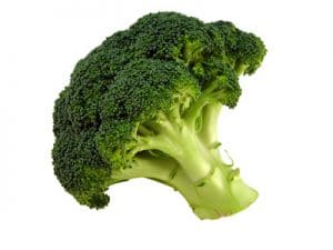A head of green Broccoli