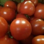 A selection of red tomatoes