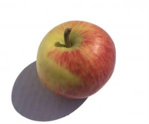 A red and green apple
