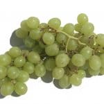 A bunch of pale green grapes