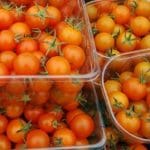 Small Orange Tomatoes