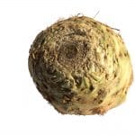 A round root vegetable