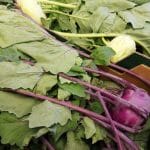 A photo of Kohlrabi in a cardboard box. There are two types shown, green and purple