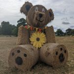 Rookery Meadows Events